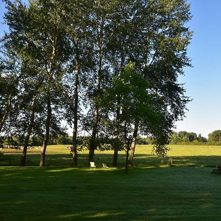 Bed and Breakfast Domaine De L'Ermitage Berry-Bouy Esterno foto