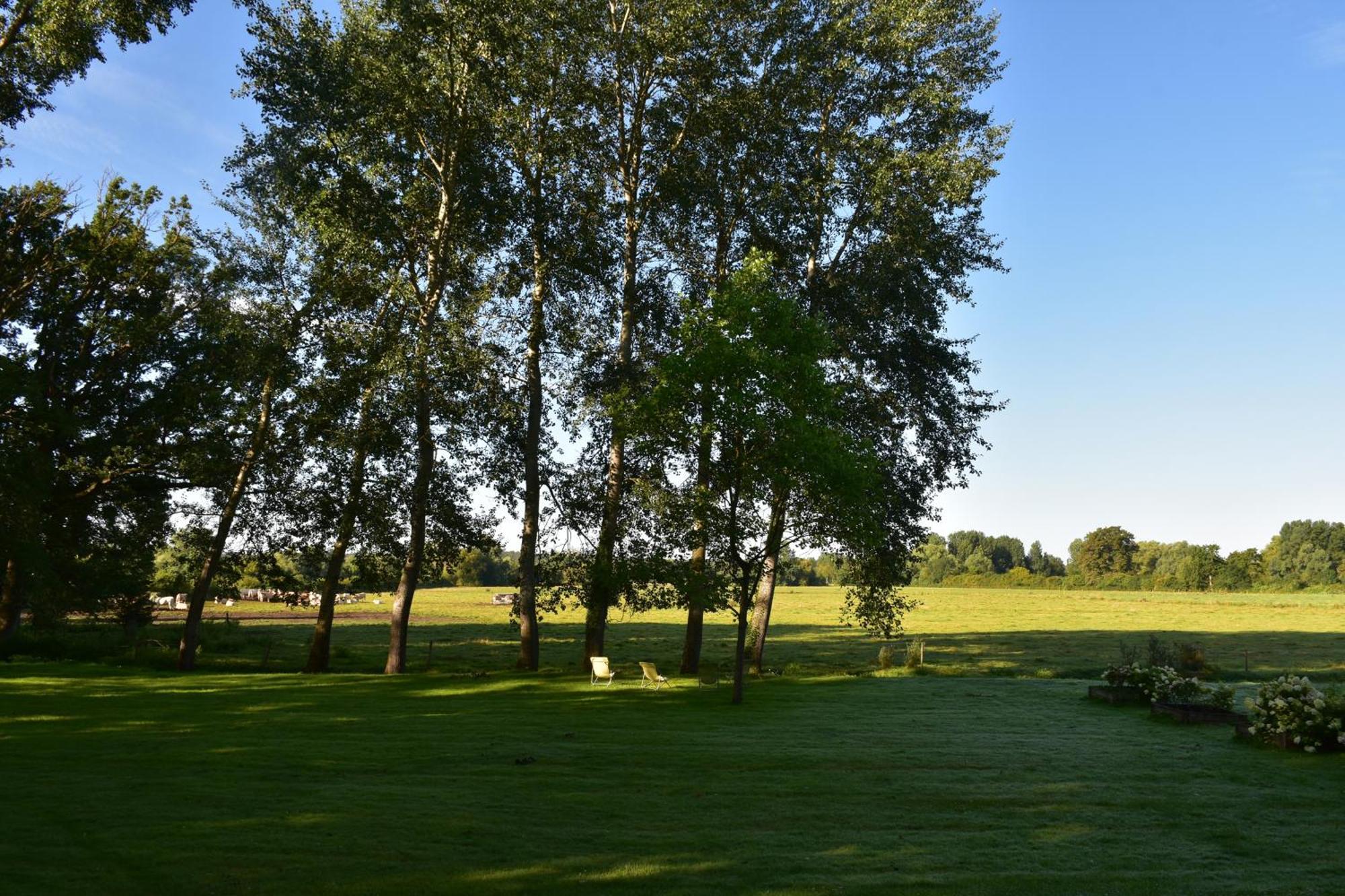 Bed and Breakfast Domaine De L'Ermitage Berry-Bouy Esterno foto