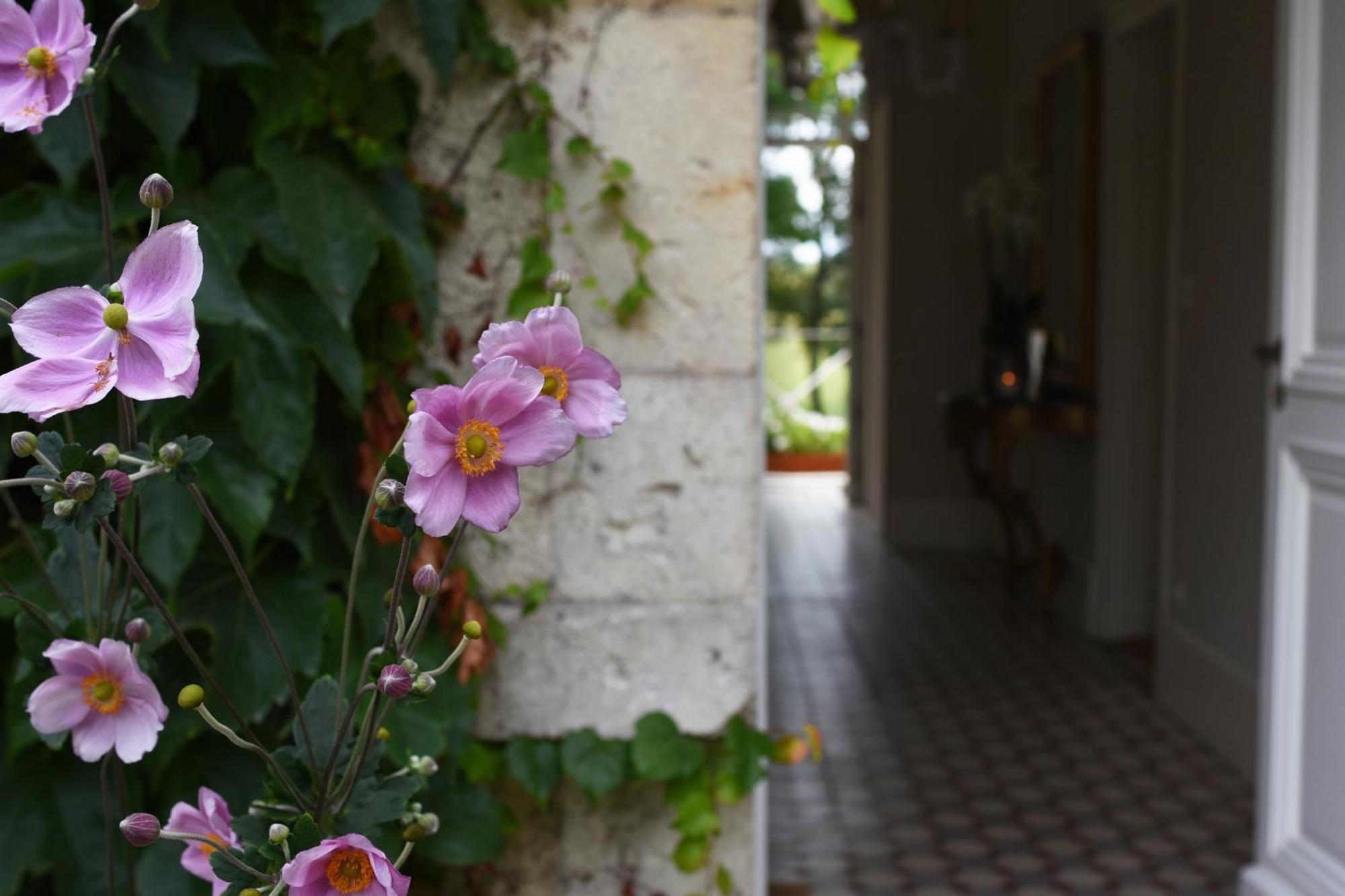 Bed and Breakfast Domaine De L'Ermitage Berry-Bouy Esterno foto